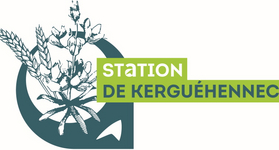 Logo Station Kerguéhennec