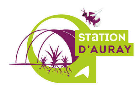 Logo Station Auray